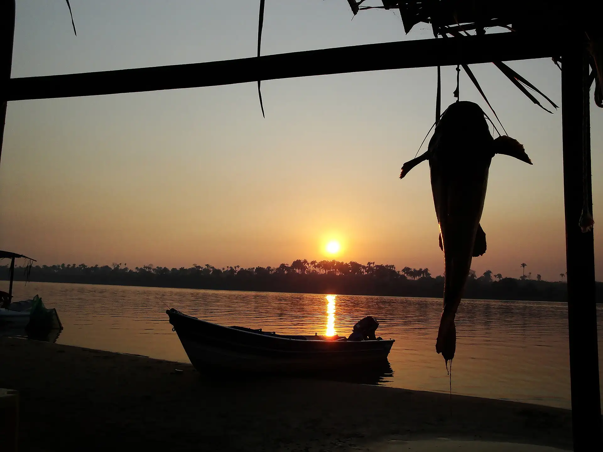 Você está visualizando atualmente Pescar na Amazônia: Uma aventura inesquecível para os amantes da pesca esportiva